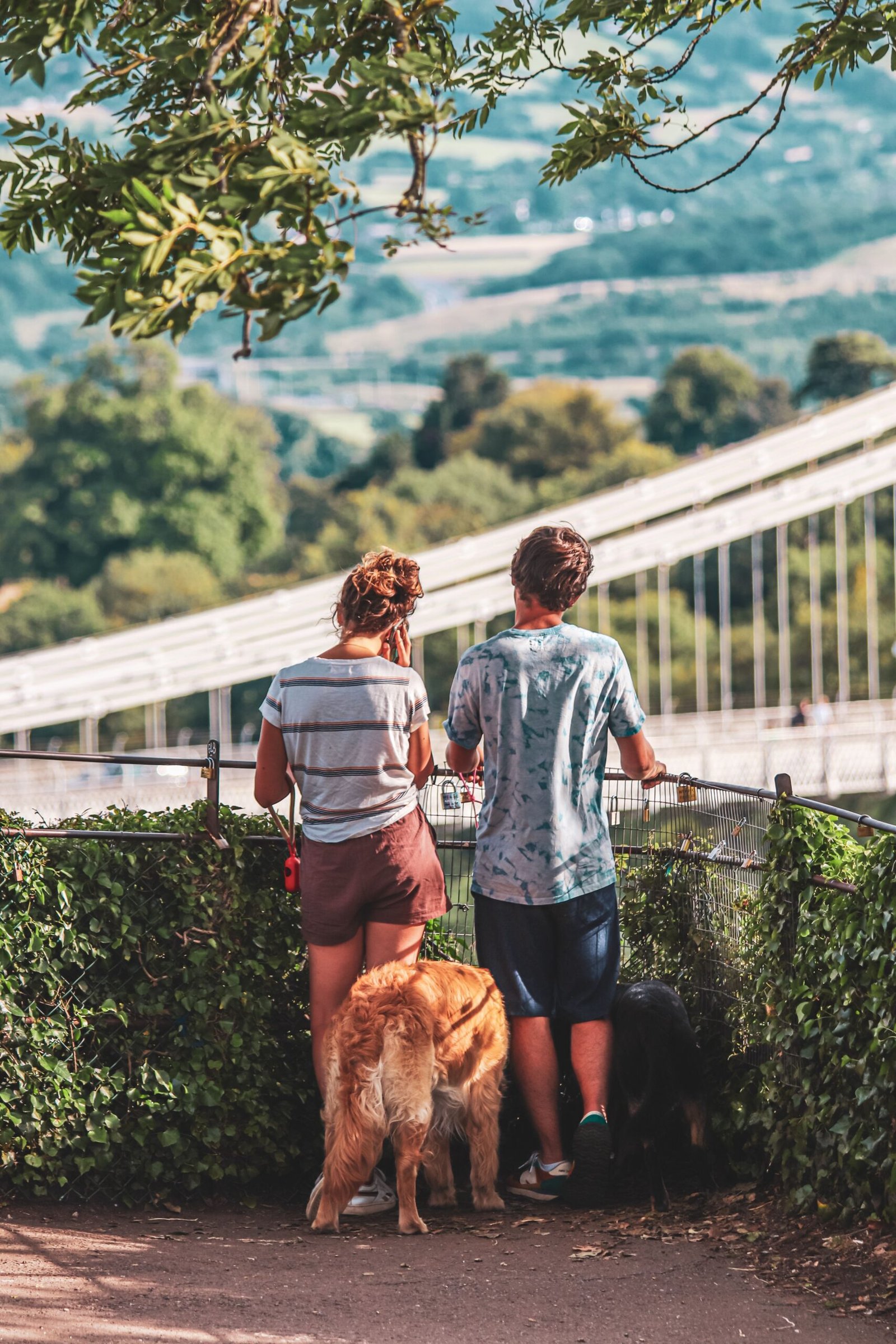 حسابدار ایرانی در بریستول — Bristol 2