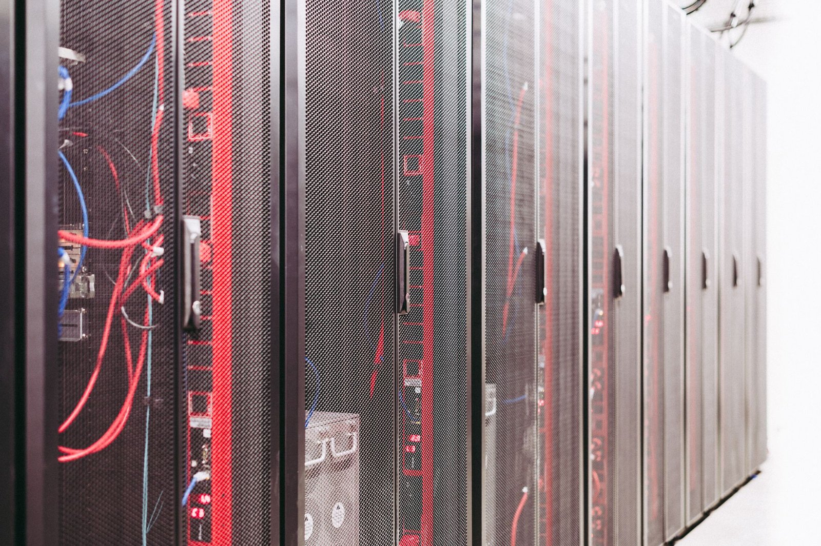 Dense red network cabling in a data centre rack, representing on-chain transaction data